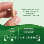GCL-RESET PRODUCT