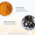 YOUTHEORY TURMERIC PRODUCT