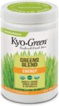 Kyo-Green Green Blends Energy Powered Drink Mix, 10 Ounce Bottle