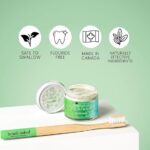 nn-moringa