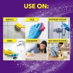 oxiclean bleach 2pack